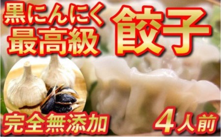 黒 ニンニク と 四万十 豚 で作った 餃子 ( 4パック 4人前 ) 餃子 餃子 餃子 餃子 餃子 餃子 餃子