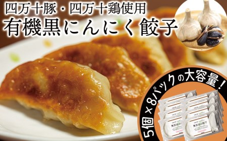 黒 ニンニク と 四万十 豚 で作った  餃子（ 8パック 8人前 ）餃子 餃子 餃子 餃子 餃子 餃子 餃子