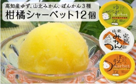 EA040高知アイスの土佐の柑橘シャーベット３種１２個セット