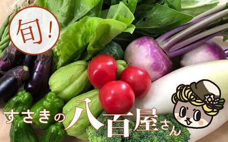 野菜 8〜10品目程度 セット 詰め合わせ 季節 新鮮 産地直送 高知県 須崎市