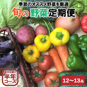 定期便 6回 6ヶ月 半年 野菜 12~13品前後 詰め合わせ 産地直送 セット あわ地区 旬の野菜 やさい ベジタブル キット 季節野菜 高知 須崎 国産 人気 半年間 毎月 お届け 頒布会 AWA8000_x