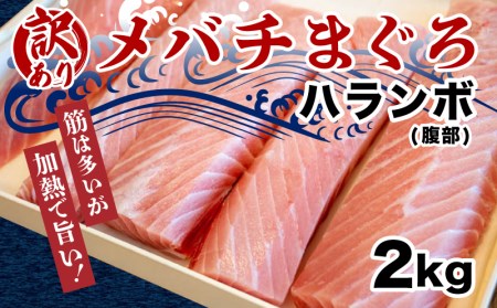 [訳あり] 天然 メバチマグロ 鮪 腹身 ハランボ 2kg 冷凍 高知県 須崎市