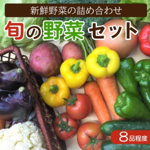 旬 野菜 詰め合わせ セット 7~8品種 高知県 須崎市 やさい 送料無料 AWA009_x