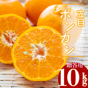 [2025年1月より発送]高知県産 立目 ぽんかん みかん 柑橘 特上品 10kg 優品 国産 ブランド 高知 ビタミン 生産者 産地