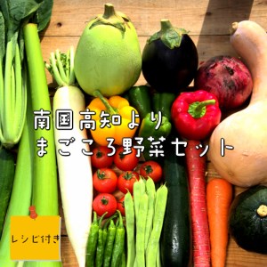 野菜 セット 6-8品目 詰め合わせ レシピ 付き 産地直送 高知県 須崎市