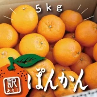 訳あり ぽんかん 5kg サイズ混合 柑橘 みかん 蜜柑 家庭用 高知県 須崎市