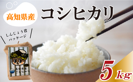 令和5年 新米 コシヒカリ 米 5kg 白米 こしひかり 高知 須崎産 産地直送