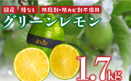 種無し よさ恋グリーンレモン 12個入