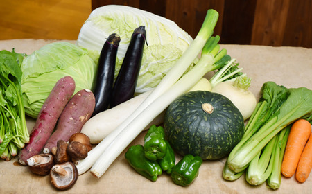 宿毛のおふくろ小包み:新鮮旬野菜おまかせセット いも 栗 ネギ ほうれん草 人参 大根 白菜 椎茸 ナス 柿 小松菜 キャベツ レタス しいたけ あかかぶ 高知 地元