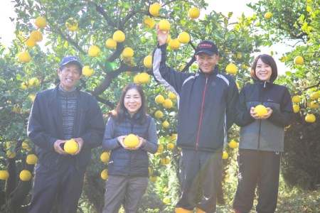 浜田農園の土佐文旦5kg家庭用