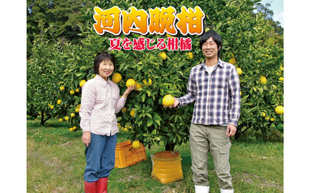 龍馬がゆく園芸の河内晩柑9kg（家庭用）