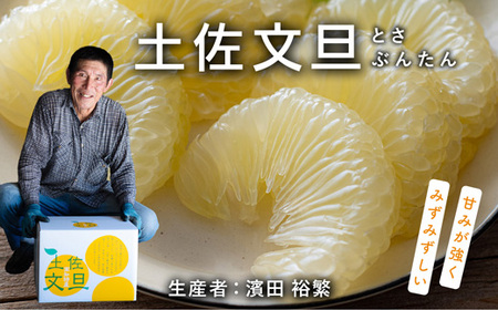 濱田裕繁の土佐文旦10kg家庭用（小玉）