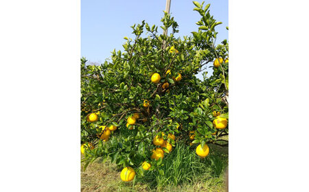 i䂢jʎ͓̉ӊ5kgiƒpj