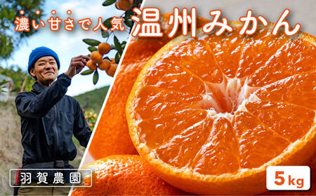 羽賀農園 温州 みかん 5kg みかん