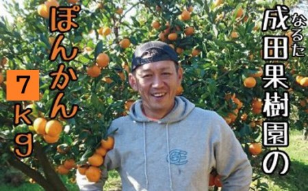 cʎ ۂ񂩂7kgƒp ۂ񂩂