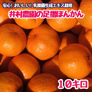令和8年1月下旬発送 井村農園の足摺ぽんかん(10kg)デコポンの親 みかん 柑橘 果物 果実 ミカン ポンカン フルーツ おやつ デザート 10キロ 美味しい おいしい [R01133]