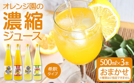 オレンジ園の濃縮ジュース 500ml おまかせ3本入り 希釈用 みかんジュース チューハイ用 ドリンク ジュース 柑橘類 蜜柑 みかん[R01121]