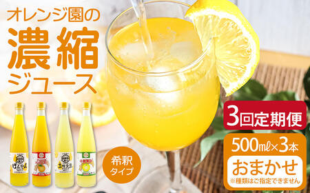 オレンジ園の濃縮ジュース 500ml おまかせ3本入り 3回定期便 希釈用 みかんジュース チューハイ用 ドリンク ジュース 柑橘類 蜜柑 みかん[J00110]