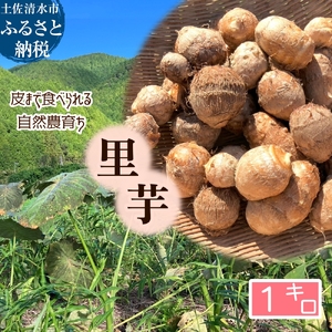 [先行受付]とびきり美味しい! 自然農育ち 里芋 1kg 軽洗 皮まで食べられる 軽洗い さといも サトイモ 里いも 皮つき 無農薬野菜 野菜 芋煮 煮物 コロッケ 具材[R01344]