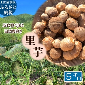 ystzƂтI R_炿  5kg y ܂ŐHׂ y Ƃ TgC   _   ϕ RbP ށyR01345z