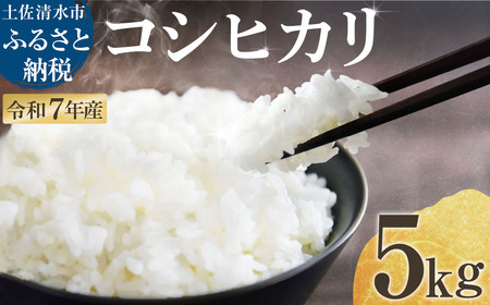 2025年8月より順次発送 令和7年産 新米 コシヒカリ 精米 5kg 白米 お米 ご飯 ごはん おにぎり 米 こめ こしひかり 高知県産 美味しい おいしい[R01359]