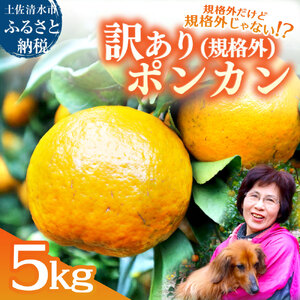 R8.1月下旬発送 規格外だけど規格外じゃない!? 訳あり 足摺ぽんかん 5kg デコポンの親 みかん 柑橘 果物 果実 ミカン ポンカン フルーツ おやつ デザート 5キロ 美味しい 井村農園[R01485]