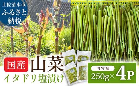 イタドリの塩漬け 250g×4パック 1kg 1キロ 山菜 いたどり 下処理済み 野菜 春の食材 虎杖 スカンポ イタズリ 炒め物 食品 お取り寄せ 真空 冷凍 配送[R01449]