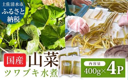 ツワブキ 水煮 400g×4パック 1.6kg 1.6キロ 山菜 下処理済み 野菜 春の食材 煮物 佃煮 料理 石蕗 食品 お取り寄せ 真空 冷凍 配送[R01450]