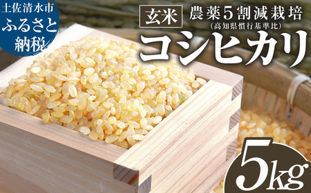 [令和8年産]新米 玄米 コシヒカリ 5キロ お米 おこめ ごはん 飯 こしひかり ブランド米 農薬5割減栽培 おいしい 国産 土佐清水産 送料無料 高知県 土佐清水市 故郷納税 返礼品 高知[R01598]