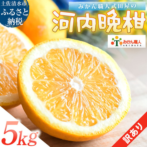 訳あり 河内晩柑 5kg みかん職人武田屋[R01616]