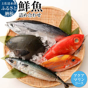 おまかせ！季節の鮮魚 お楽しみセット（アクアマリンコース）天然魚 食べ比べ 魚介類 海鮮料理【R00480】