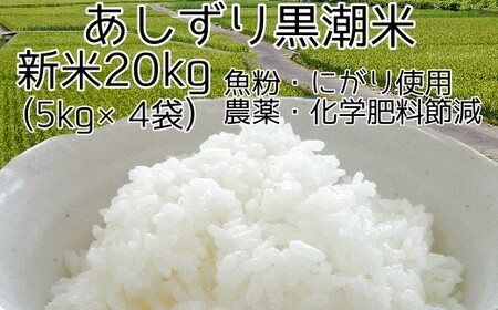 令和6年産 新米 あしずり黒潮米20kg(5kg×4袋)10キログラム [コシヒカリ] こしひかり 精米 白米 ブランド米 銘柄米 お米 おコメ 米 こめ ご飯 ごはん おにぎり 高知[R01192]