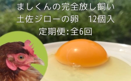 定期便:土佐ジローの卵(12個入り×6回)もみ殻梱包 ブランド卵 タマゴ[J00024]