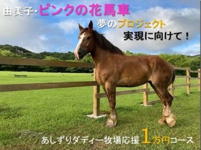 由美子・ピンクの花馬車夢のプロジェクト実現に向けて！あしずりダディー牧場応援1万円コース【Ｂ-169】