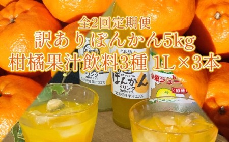 全2回定期便】訳ありぽんかん５kg＆柑橘果汁飲料３種（1L×3本）みかん