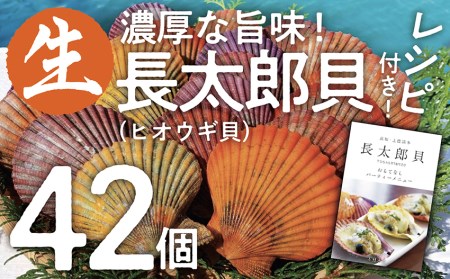 『先行予約』ヒオウギ貝42個セット（ホタテの仲間）アウトドア キャンプ 海鮮BBQ 魚貝 刺身 生 貝殻付 活 貝柱 酒蒸し バーベキュー【R00570】