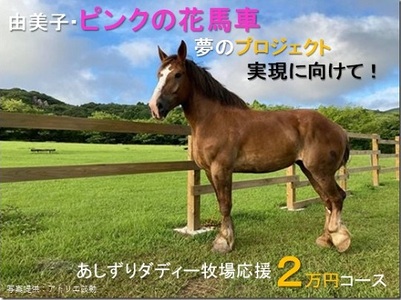 由美子・ピンクの花馬車夢のプロジェクト実現に向けて!あしずりダディー牧場応援(2万円コース)クラウンドファンディング クラファン 馬主 競馬 動物[R00576]