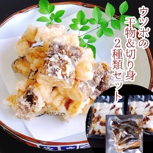 からあげ用ウツボ2種類セット カット干物(100g)&切り身生(200g×2P)天ぷら 南蛮 フライ 冷凍惣菜[R00363]