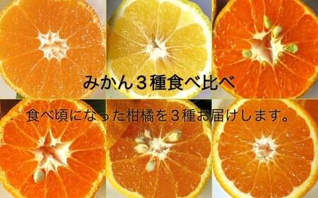 [訳あり 無農薬] 先行予約 みかん3種(計3kg)おまかせ食べ比べセット お楽しみ 柑橘 ミカン 果物 果実 フルーツ おやつ デザート 健康 美味しい ワケアリ ご自宅用 国産[R00241]