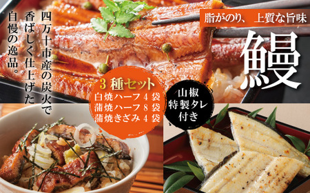 [四万十食品]うなぎ蒲焼 ハーフ8袋+きざみ4袋+白焼ハーフ4袋/F