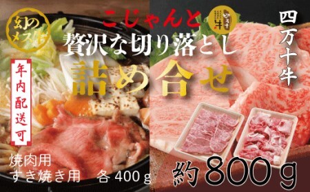 【年内配送】24-020N．幻のメス牛　四万十牛こじゃんと贅沢な詰め合せ(焼肉用・すき焼き用)計800ｇ