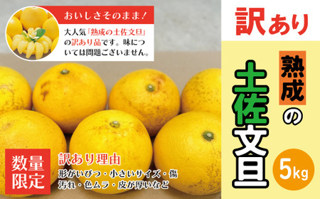 24-909．【訳あり・数量限定】熟成の土佐文旦5kg【家庭用】【2025年3月上旬～無くなり次第終了】