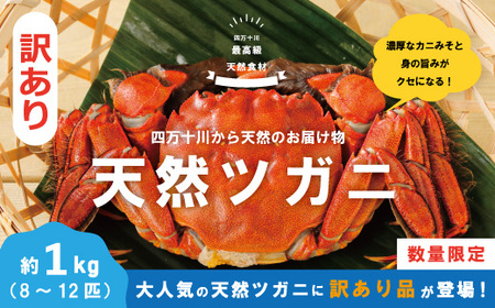 [ 訳あり 数量限定 ] 天然 ツガニ 約 1kg (8〜12匹) 訳アリ 訳あり品 濃厚 うまみ 魚介 蟹 かに カニ つがに モクズガニ もくずが 人気 リピーター お取り寄せ だし 味噌汁 炊き込みごはん 四万十川 グルメ 高知県 高知 四万十市 四万十 しまんと