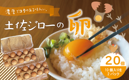 濃厚でコクのある味わい！のびのび育った土佐ジローの自然卵20個（10個入り×2パック）卵 玉子 たまご 鶏卵 土佐ジローの卵 土佐ジロー 自然卵 新鮮 旨味 濃厚 コク おいしい 自慢 こだわり卵 高知 高知県 四万十市 産地直送 送料無料 25-1010 