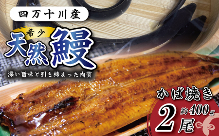  l\YVRȂ 2i400j VRȂ VR l\ V EiM Ȃ O  ґ Mtg Hו Hi YV  Ȃ EiM V Ⓚ Y