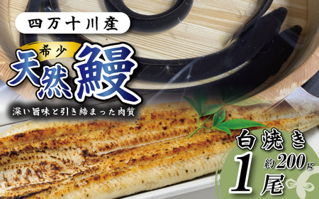  l\YVRȂĂ 1i200j VRȂ VR l\ V EiM Ȃ O  Mtg Hו Hi YV  ȂĂ EiMĂ V Ⓚ