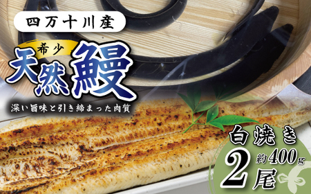  l\YVRȂĂ 2i400j VRȂ VR l\  V EiM Ȃ O Mtg Hו Hi YV  ȂĂ EiMĂ V Ⓚ Y