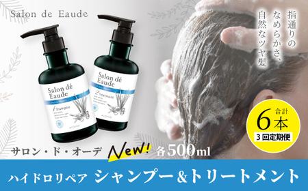 3回 定期便 サロン・ド・オーデ ハイドロリペア シャンプー & トリートメント 各 500ml 2本 セット 合計 6本 ダメージ補修 ボトル 液体 アロインス製薬 美容 美容品 化粧品 日用品 高知 高知県 四万十 四万十市 しまんと 25-94