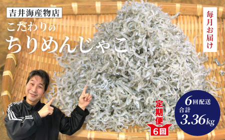 【 6回 定期便 】 土佐黒潮 こだわり の ちりめんじゃこ 560g 合計 3.36kg 毎月届く 冷凍 小分け 便利 無添加 無着色 国産 小魚 魚介 海産物 グルメ お取り寄せ 25-751