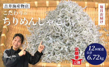 【 12回 定期便 】 土佐黒潮 こだわり の ちりめんじゃこ 560g 合計 6.72kg 毎月届く 冷凍 小分け 便利 無添加 無着色 国産 小魚 魚介 海産物 グルメ お取り寄せ 25-753